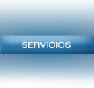 Servicios