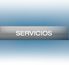 Servicios